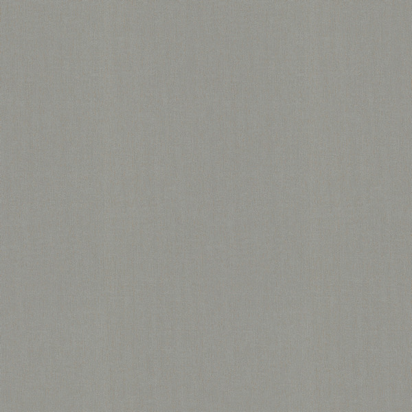 12205-24 P+S обои флизелиновые 1,06*10м/6