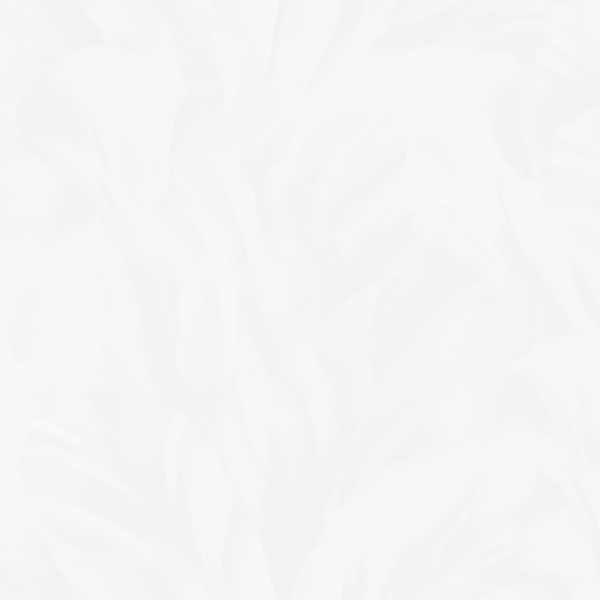 NA8630-11 NewAge обои флизелиновые 1,06*10м/6