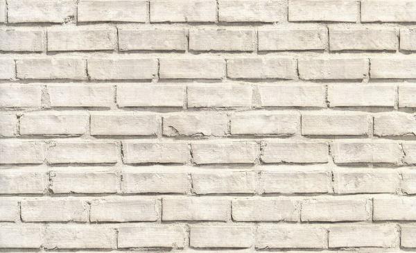 Стена 22 Гомель обои дуплекс 0,53*10м/15