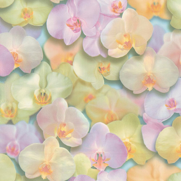 HC71421-35 Home Color обои флизелиновые 1,06*10м/8