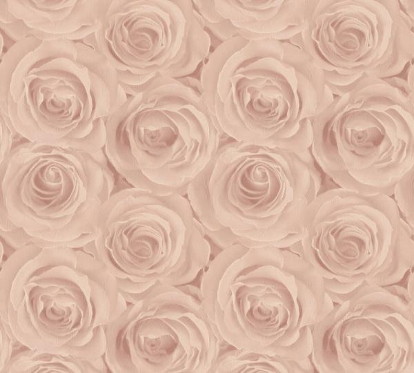 37644-2 AS Creation Розы обои флизелиновые 1,06*10м/6