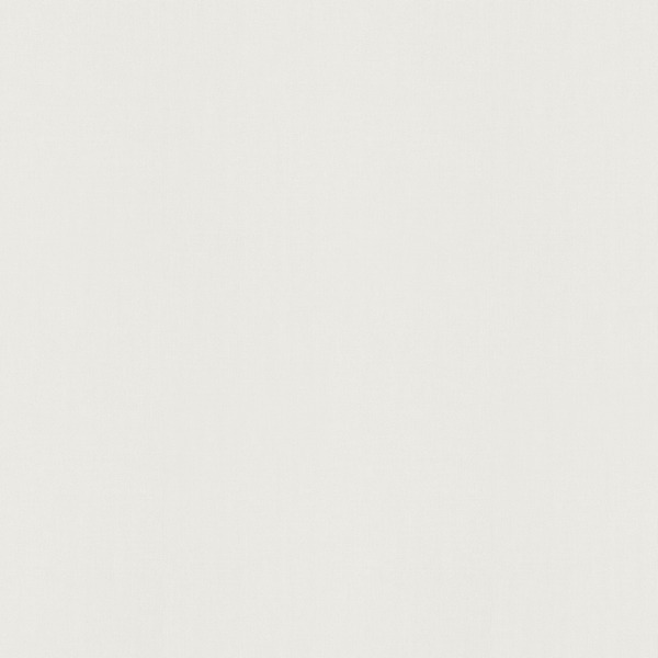 12205-01 P+S обои флизелиновые 1,06*10м/6